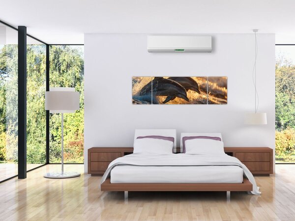 Obraz - Delfíni (170x50 cm)