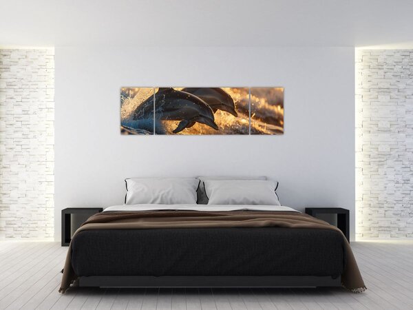 Obraz - Delfíni (170x50 cm)