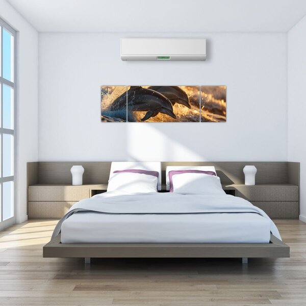 Obraz - Delfíni (170x50 cm)