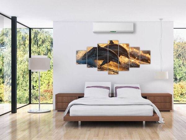 Obraz - Delfíni (210x100 cm)