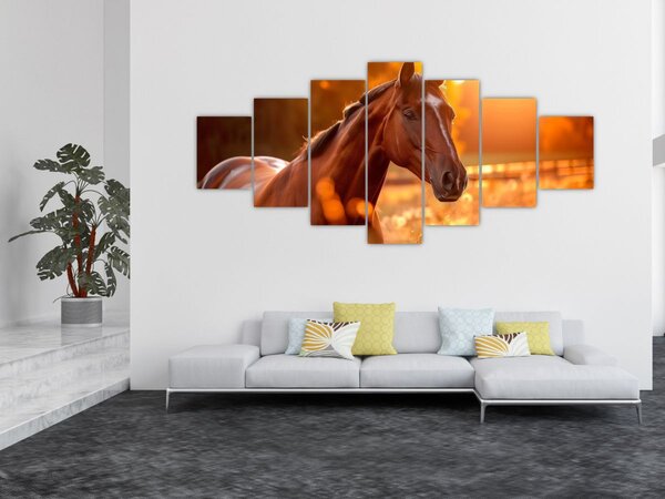 Obraz - Kůň v západu slunce (210x100 cm)