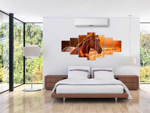 Obraz - Kůň v západu slunce (210x100 cm)