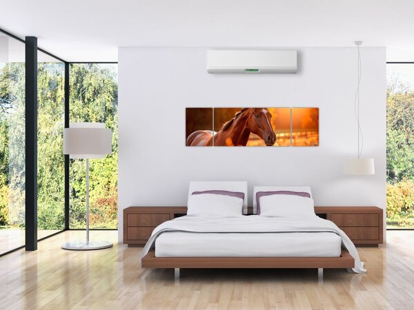 Obraz - Kůň v západu slunce (170x50 cm)