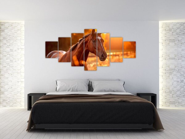 Obraz - Kůň v západu slunce (210x100 cm)