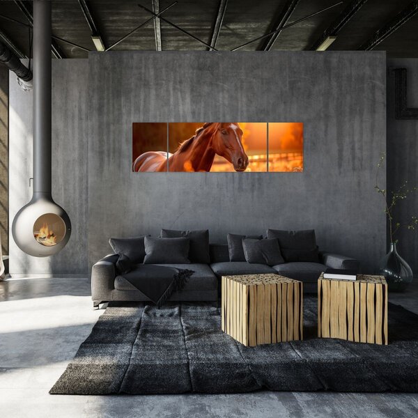Obraz - Kůň v západu slunce (170x50 cm)