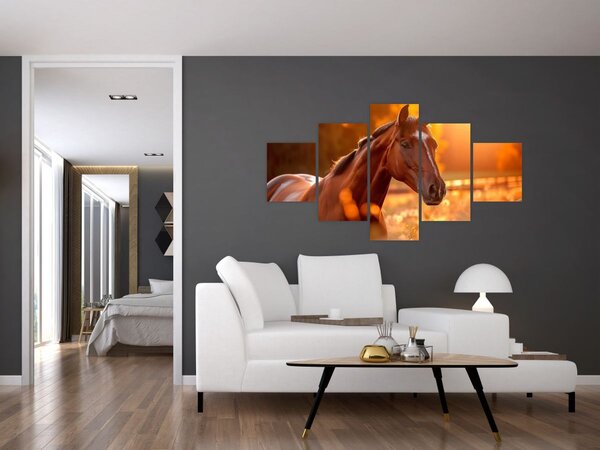 Obraz - Kůň v západu slunce (125x70 cm)