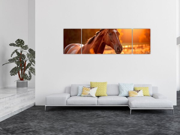 Obraz - Kůň v západu slunce (170x50 cm)