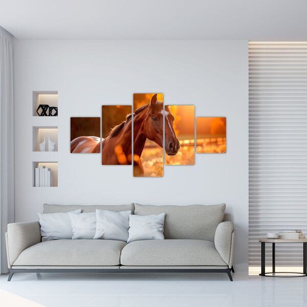 Obraz - Kůň v západu slunce (125x70 cm)