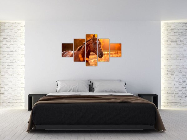 Obraz - Kůň v západu slunce (125x70 cm)