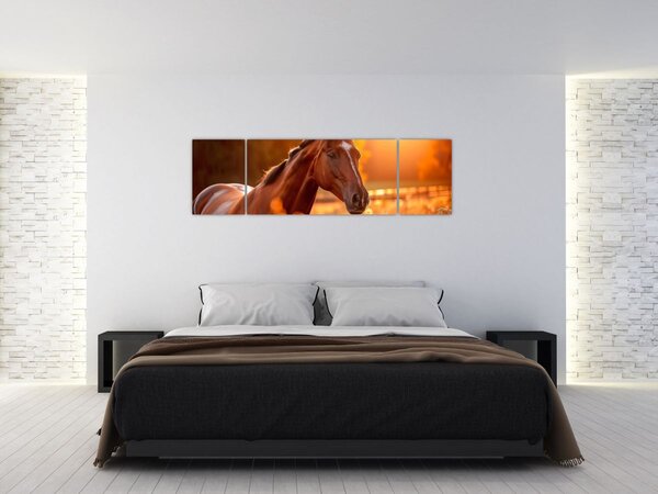 Obraz - Kůň v západu slunce (170x50 cm)