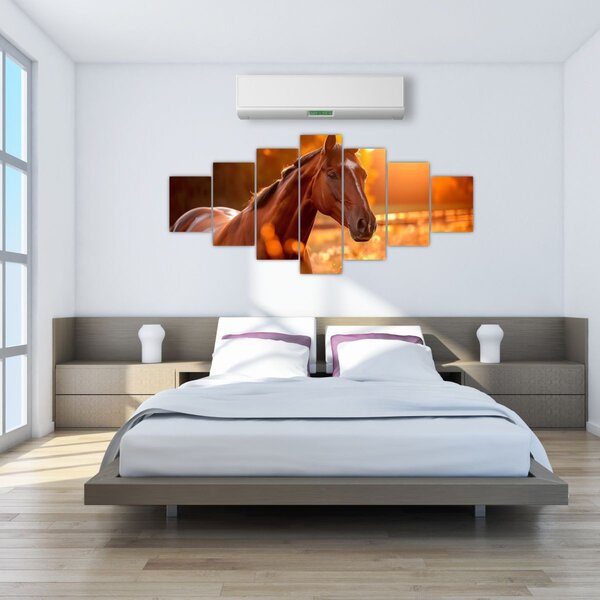 Obraz - Kůň v západu slunce (210x100 cm)