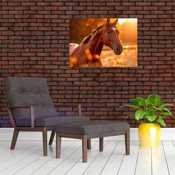 Obraz - Kůň v západu slunce (70x50 cm)