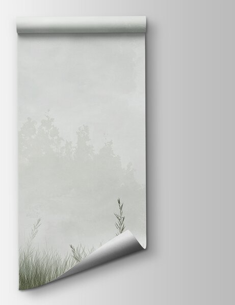 Fototapeta Mlžná krajina se stromy a trávou, Přírodní fototapety, Populární fototapety, w01547v2 - Tapeko.co.cz