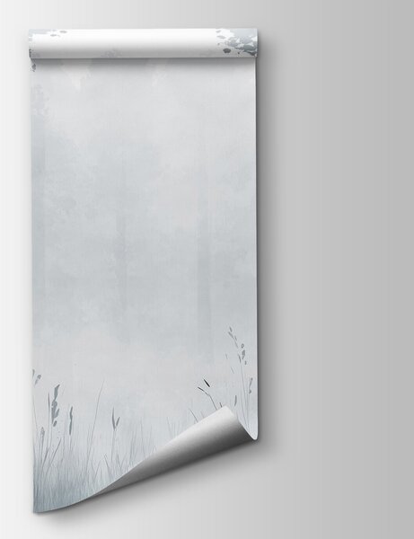 Fototapeta Mlžný les se stromy a trávou, Přírodní fototapety, Populární fototapety, w01563v3 - Tapeko.co.cz
