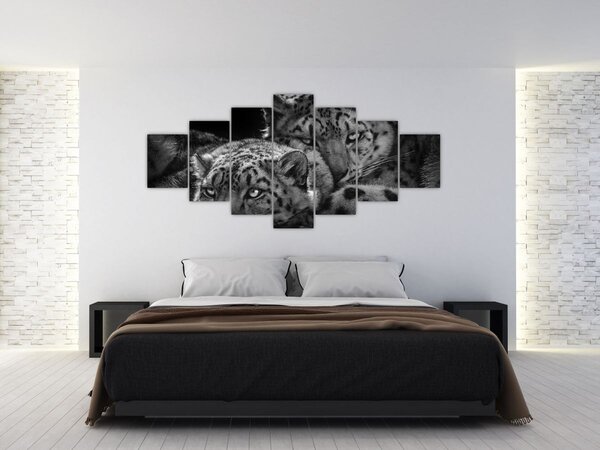 Obraz - Odpočívající gepardi (210x100 cm)