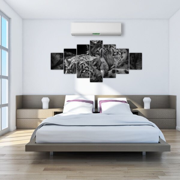 Obraz - Odpočívající gepardi (210x100 cm)