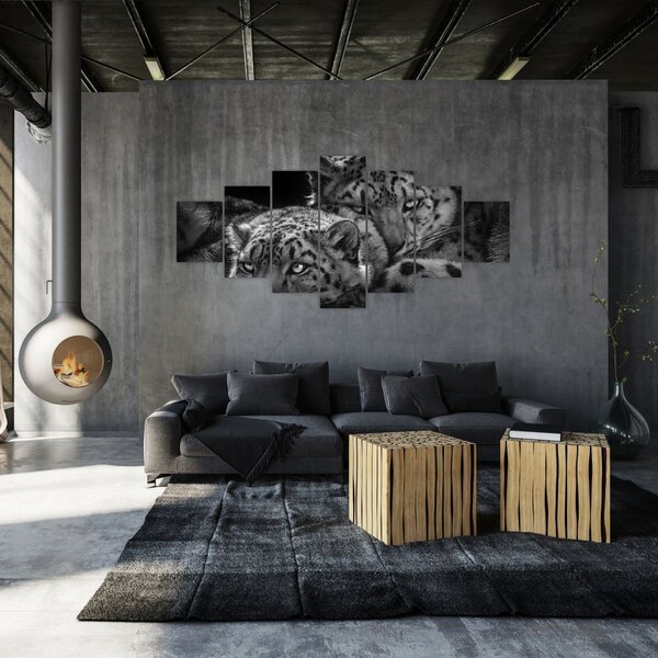 Obraz - Odpočívající gepardi (210x100 cm)