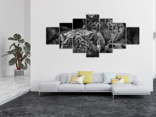 Obraz - Odpočívající gepardi (210x100 cm)