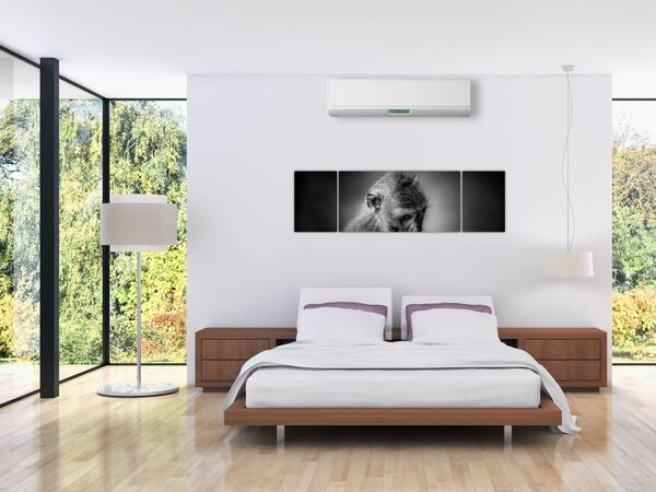 Obraz - Opička (170x50 cm)