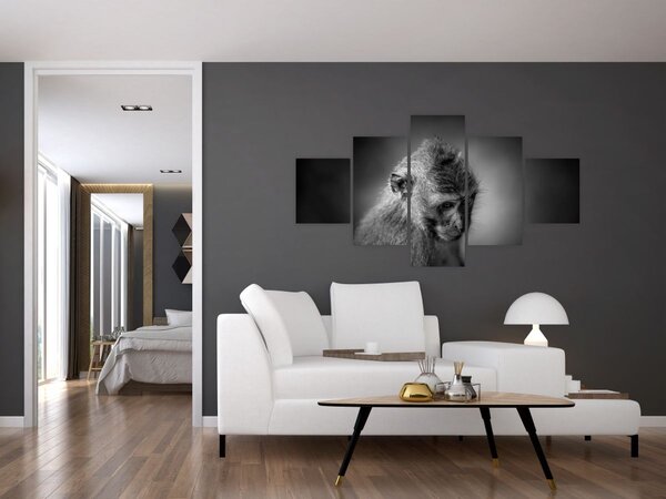 Obraz - Opička (125x70 cm)