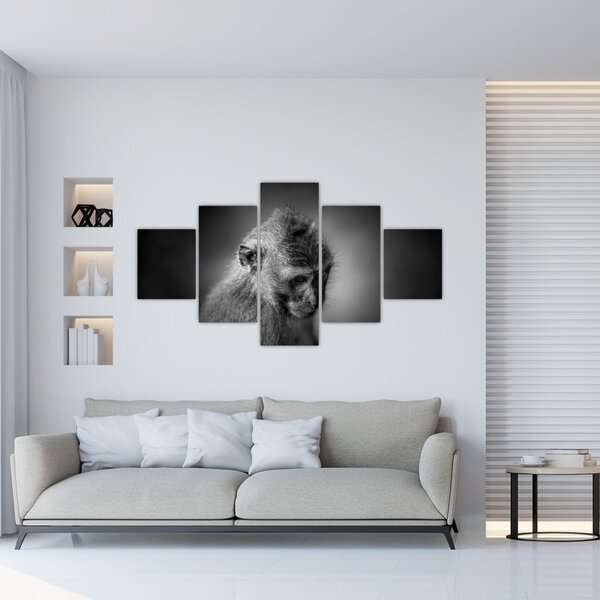 Obraz - Opička (125x70 cm)