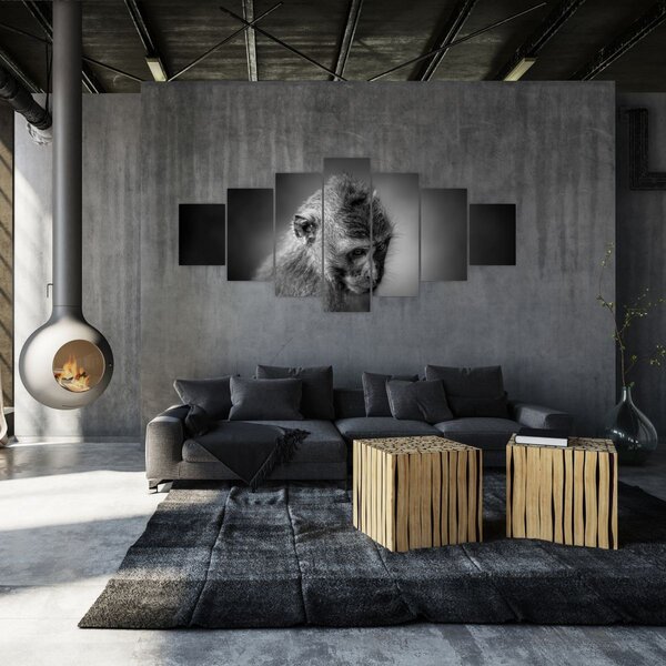 Obraz - Opička (210x100 cm)