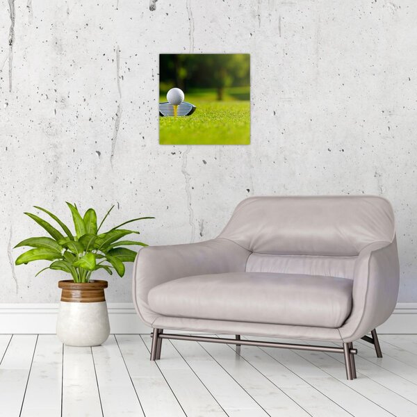Obraz - Golf (30x30 cm)