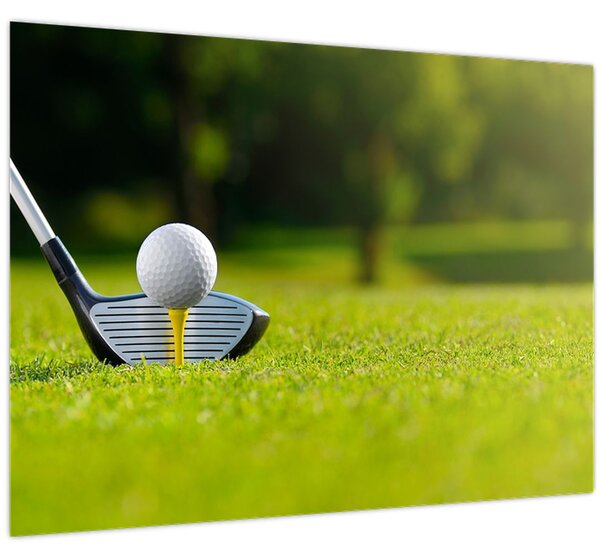 Obraz - Golf (70x50 cm)