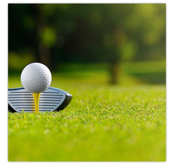 Obraz - Golf (30x30 cm)