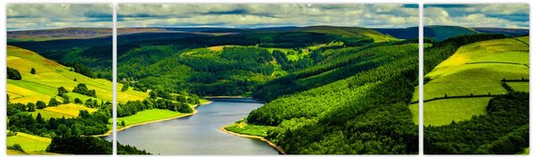 Obraz - Zelená krajina (170x50 cm)