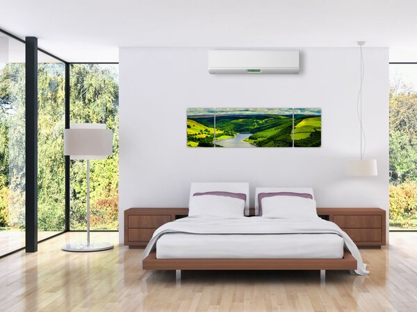 Obraz - Zelená krajina (170x50 cm)
