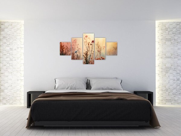Obraz - Divoké kvítí (125x70 cm)