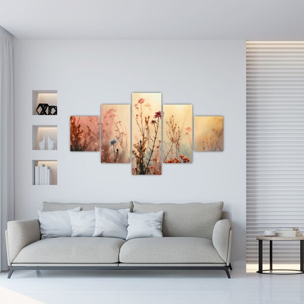 Obraz - Divoké kvítí (125x70 cm)