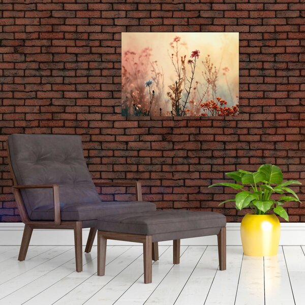 Obraz - Divoké kvítí (70x50 cm)