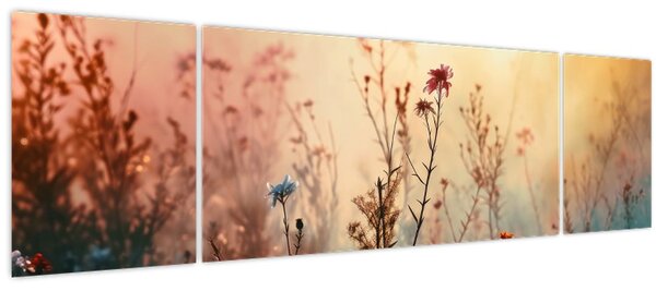Obraz - Divoké kvítí (170x50 cm)