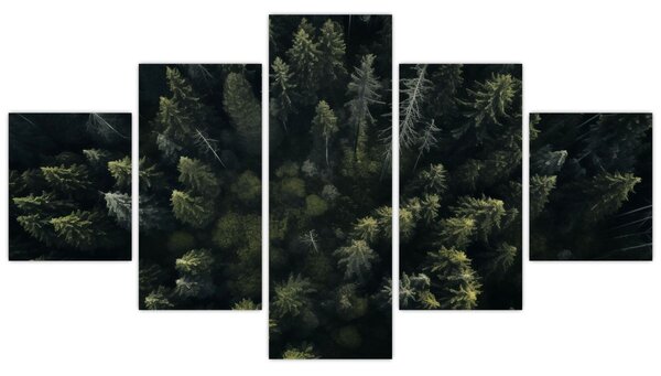 Obraz - Les (125x70 cm)