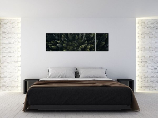 Obraz - Les (170x50 cm)