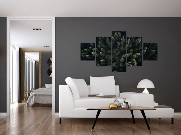 Obraz - Les (125x70 cm)