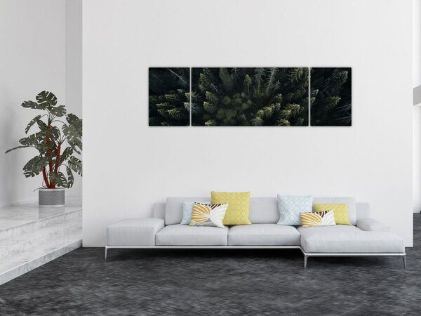 Obraz - Les (170x50 cm)