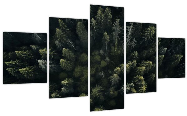 Obraz - Les (125x70 cm)