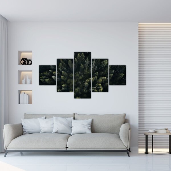 Obraz - Les (125x70 cm)