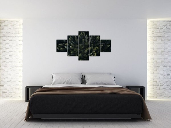 Obraz - Les (125x70 cm)