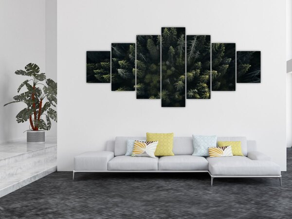 Obraz - Les (210x100 cm)