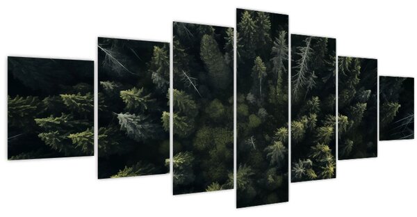 Obraz - Les (210x100 cm)