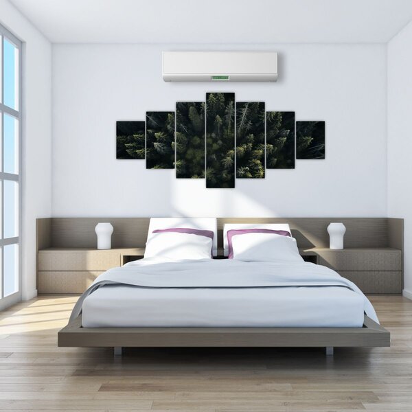 Obraz - Les (210x100 cm)