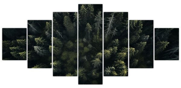 Obraz - Les (210x100 cm)