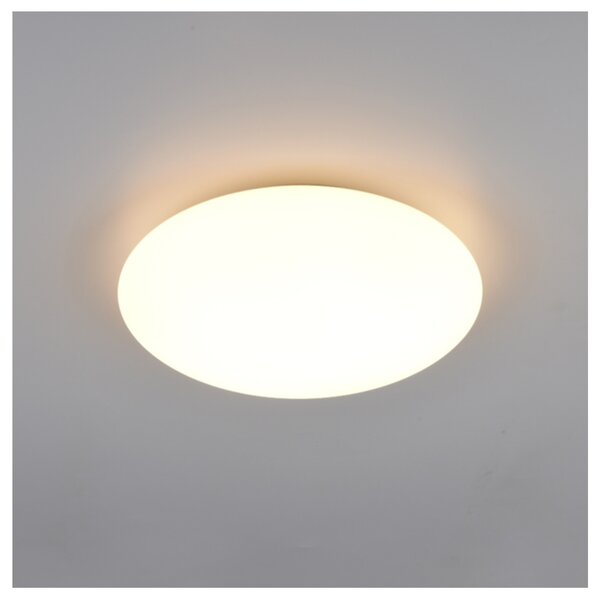 Stropní LED svítidlo VIORA bílá