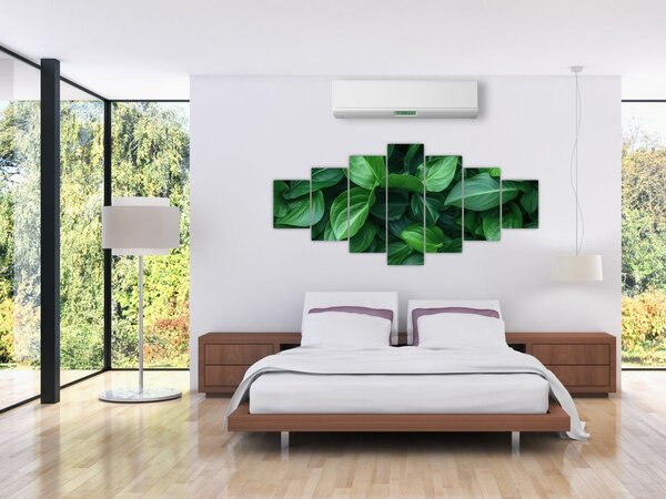 Obraz - Zelené listy (210x100 cm)