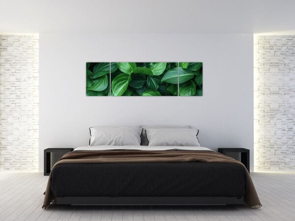 Obraz - Zelené listy (170x50 cm)