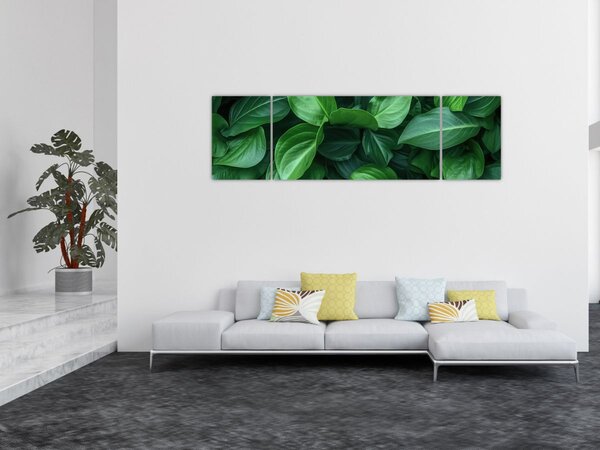 Obraz - Zelené listy (170x50 cm)